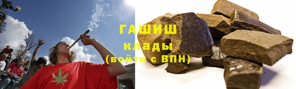 шишки Алзамай