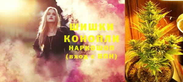 шишки Алзамай