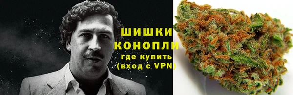 шишки Алзамай