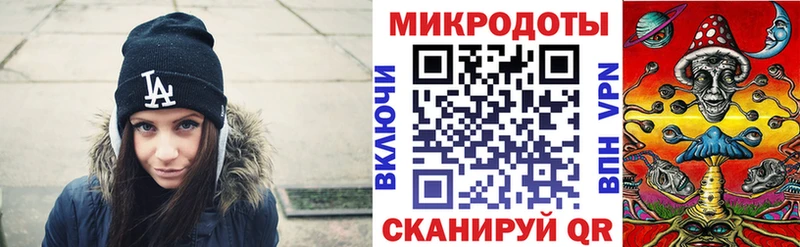 купить наркоту  Камешково  omg онион  Псилоцибиновые грибы GOLDEN TEACHER 